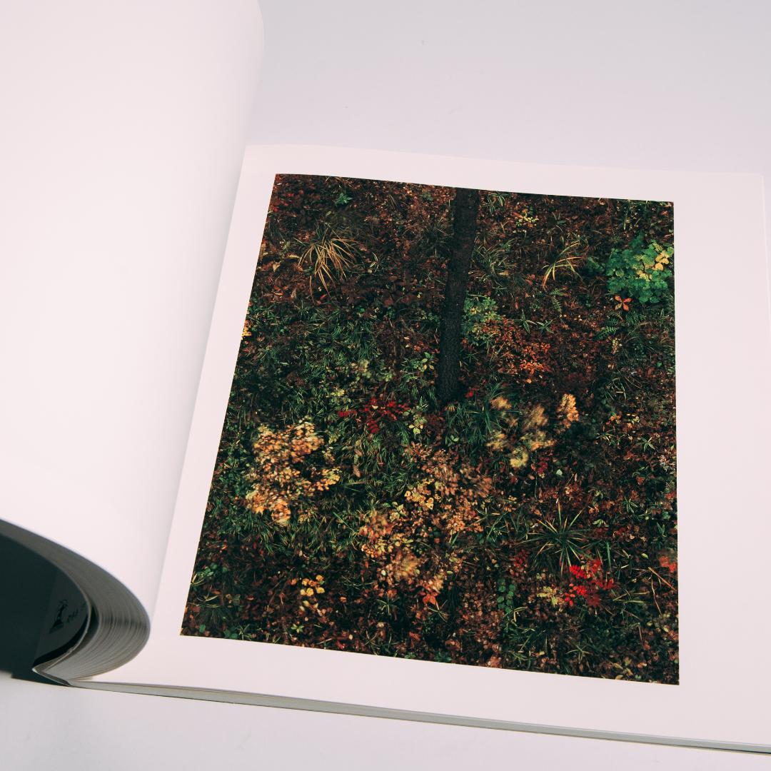 瀧本幹也　LOUIS VUITTON FOREST