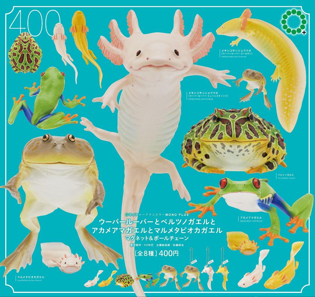 ウーパールーパーとベルツノガエルとアカメアマガエルとマルメタピオカガエル 全8種カプセルトイ・ガチャガチャ