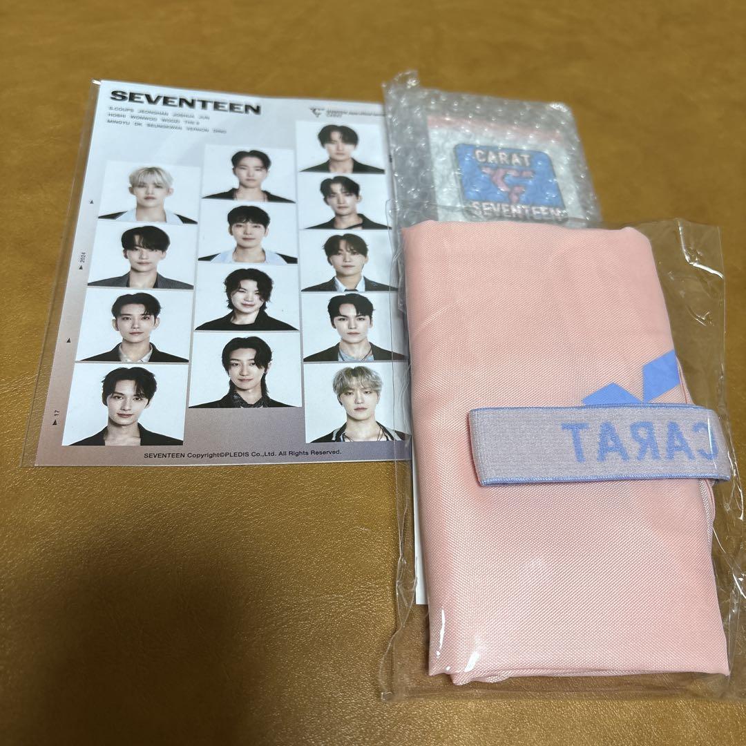 SEVENTEEN セブンティーン セブチ ピンバッチ メタルバッジ 韓流