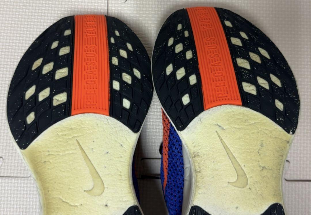 NIKE ペガサスプラス