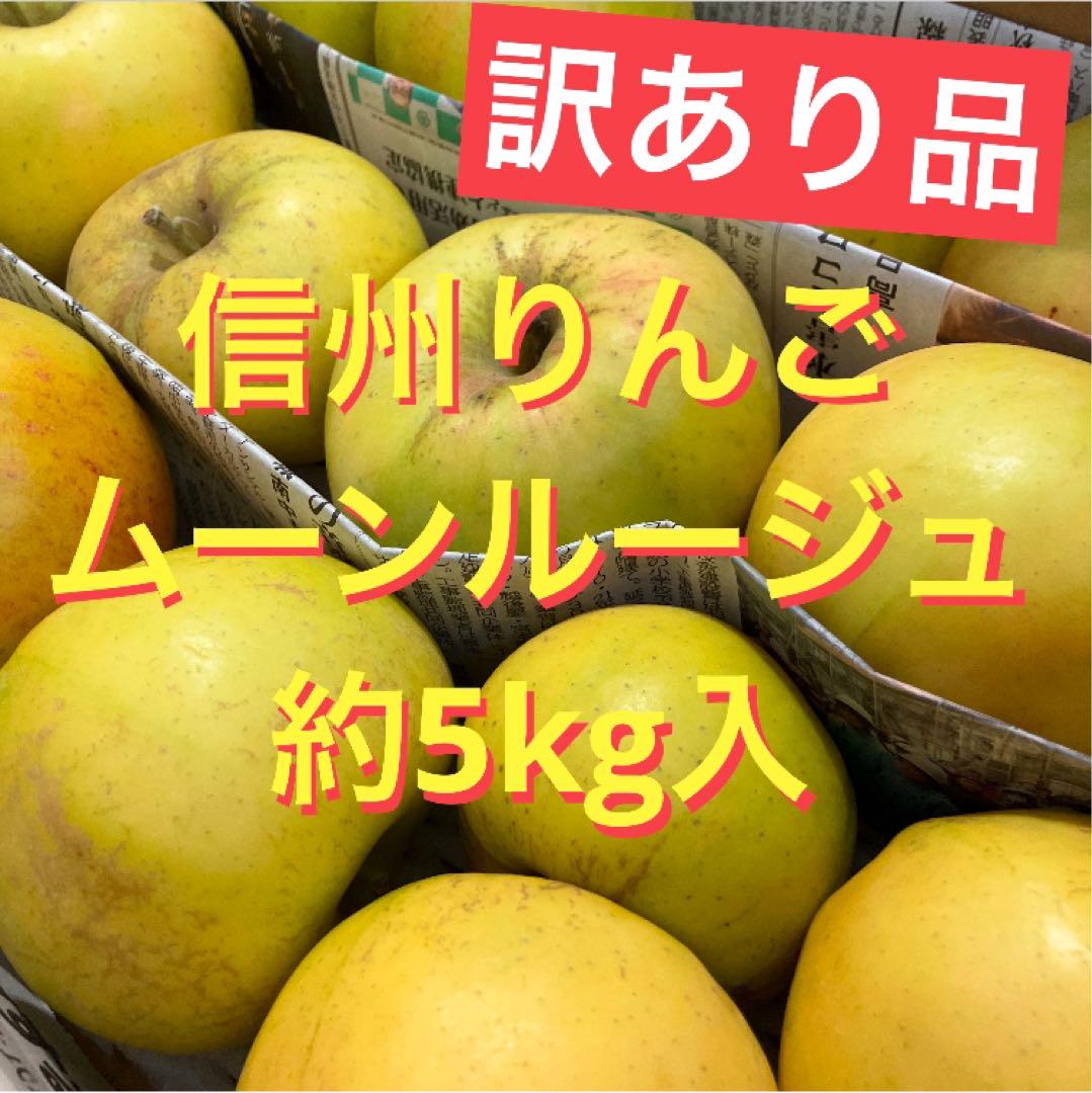 訳あり品　色薄　りんご　ムーンルージュ　約5kg入 B