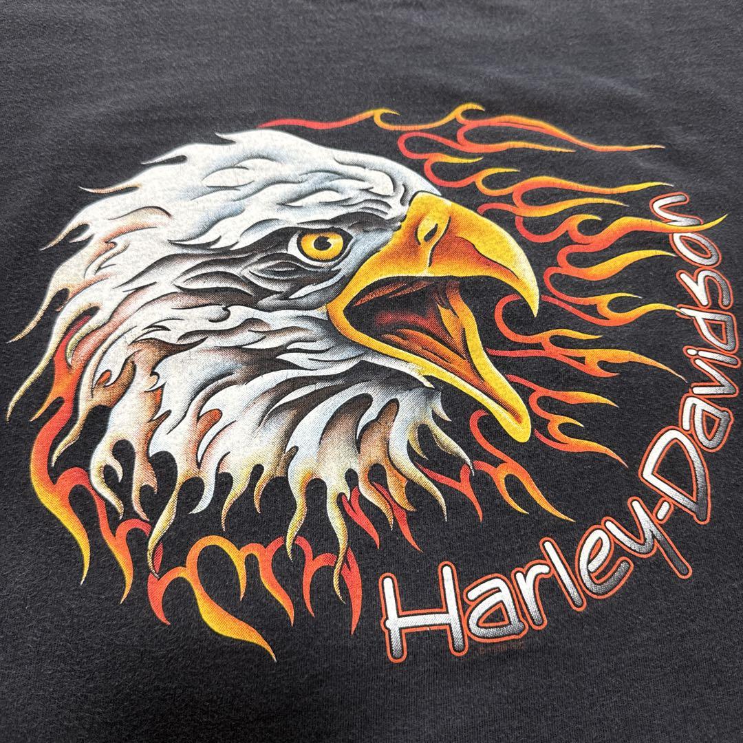 90s HARLEY DAVIDSON イーグル フレイム ファイヤー フェード