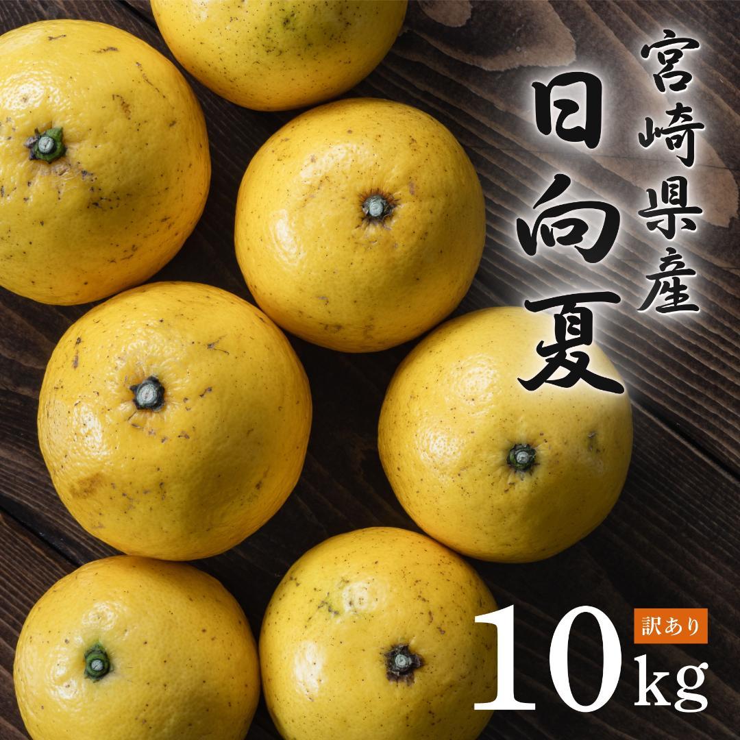 宮崎産 家庭用 日向夏 みかん 10㎏ 土佐小夏726