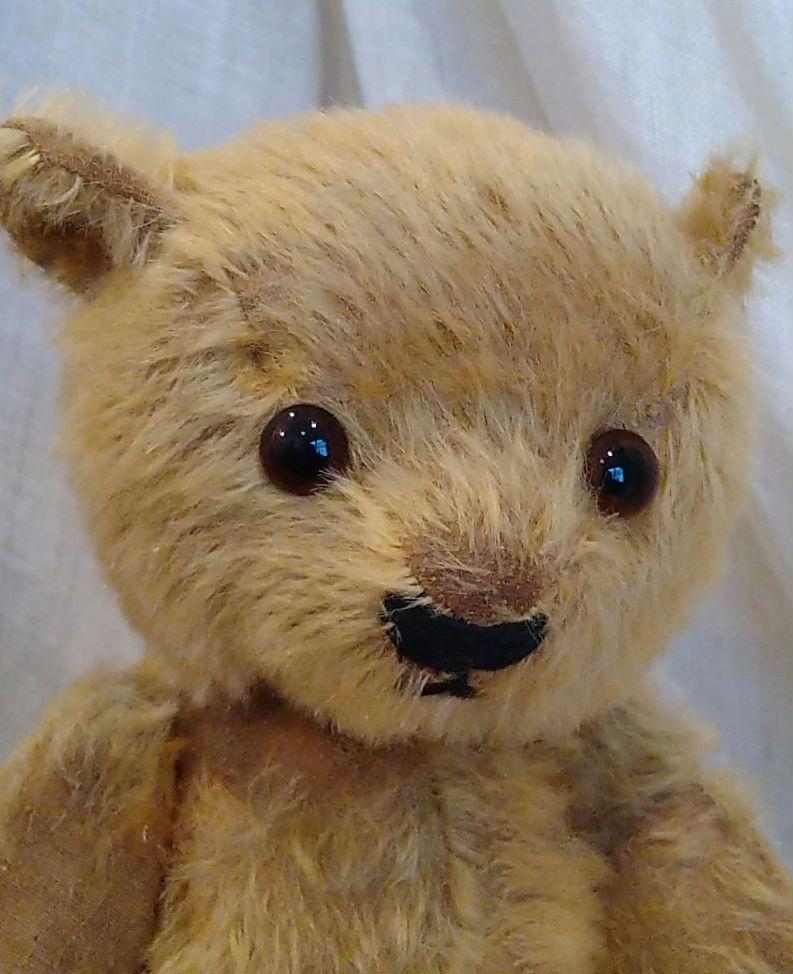 チャドバレー マグナベア 39cm レアなマグナ青タグの子