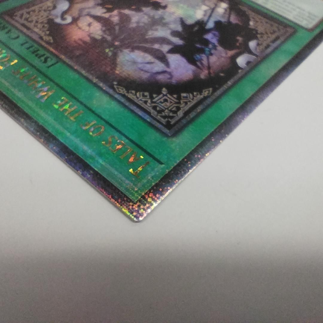 遊戯王 白き森のいいつたえ 1st 25th クオシク 英語 INFO fTBS - メルカリ