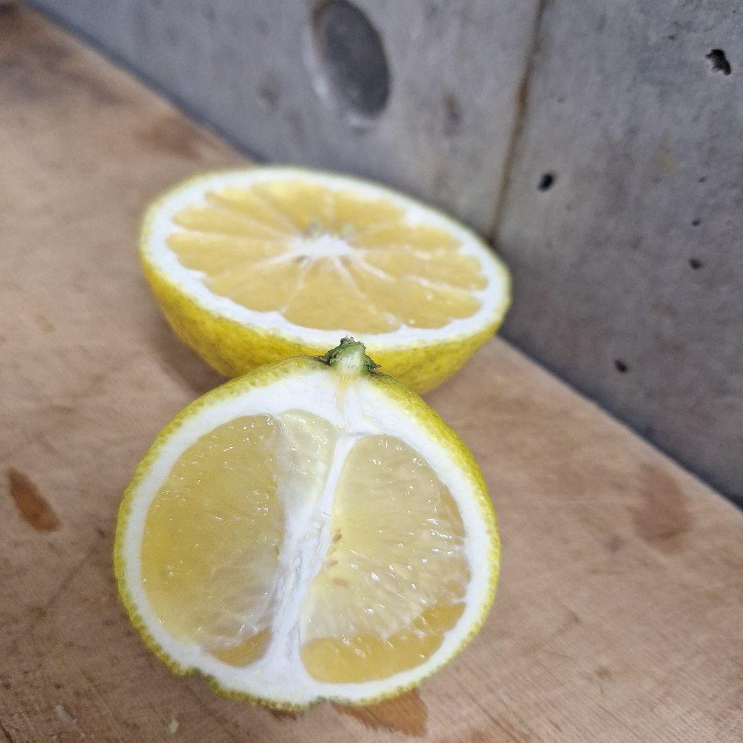 はるか 　2Lサイズ　箱込み 8kg　キズ多め×２箱