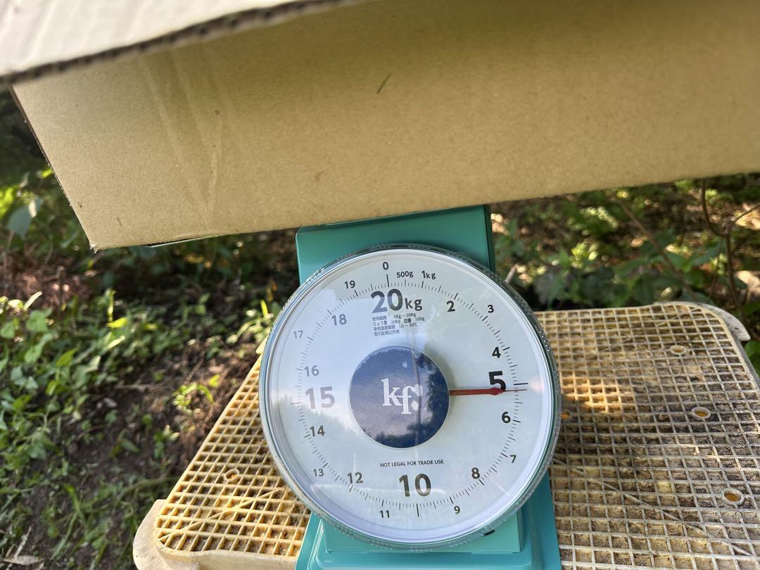 無農薬紀州南高梅5キロ