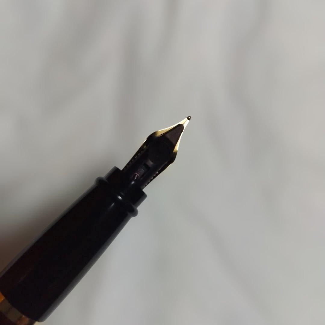 万年筆 ケース付き