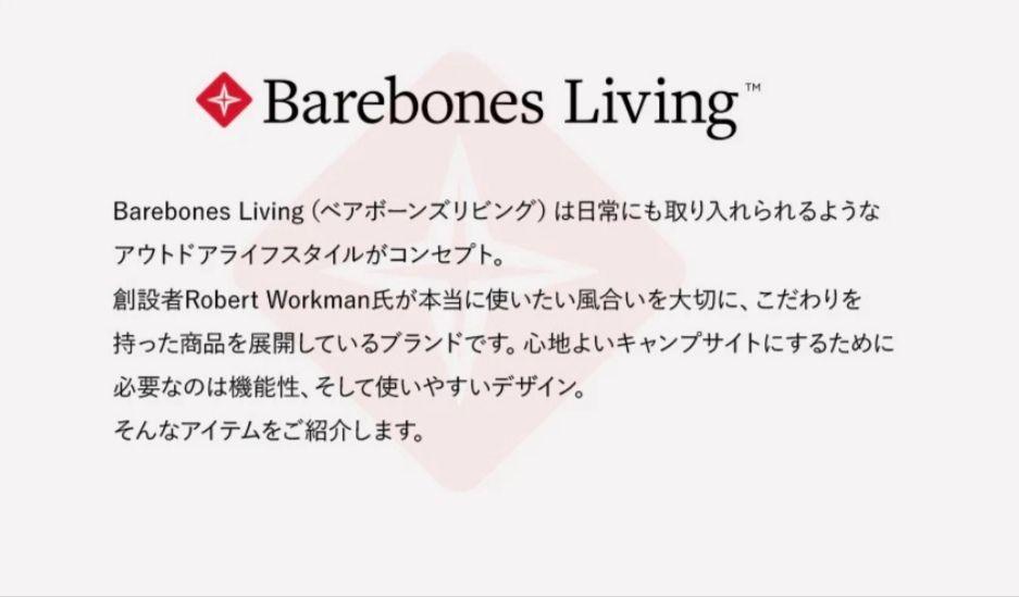 Barebones ベアボーンズリビング エジソンスリングライトCopper