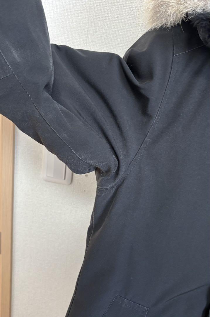【まめたん】カナダグース　ジャスパーブラック　S