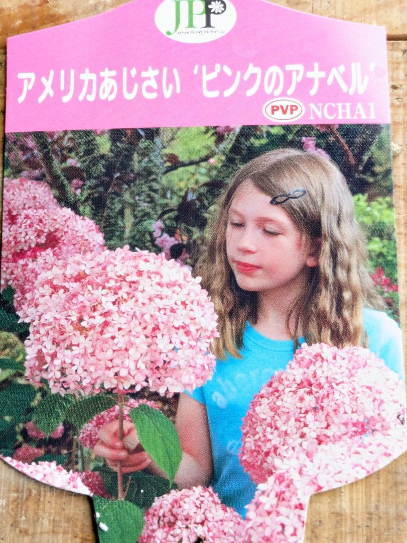 ✨さくらもち様✨