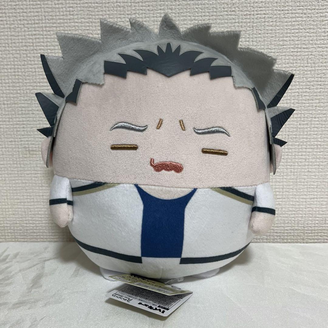 ハイキュー!! 木兎光太郎 ふわコロりん M サイズ新 発売
