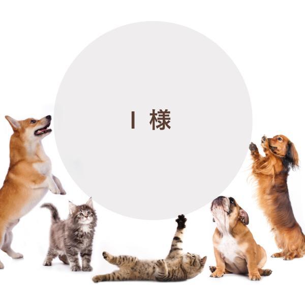 専用ページ