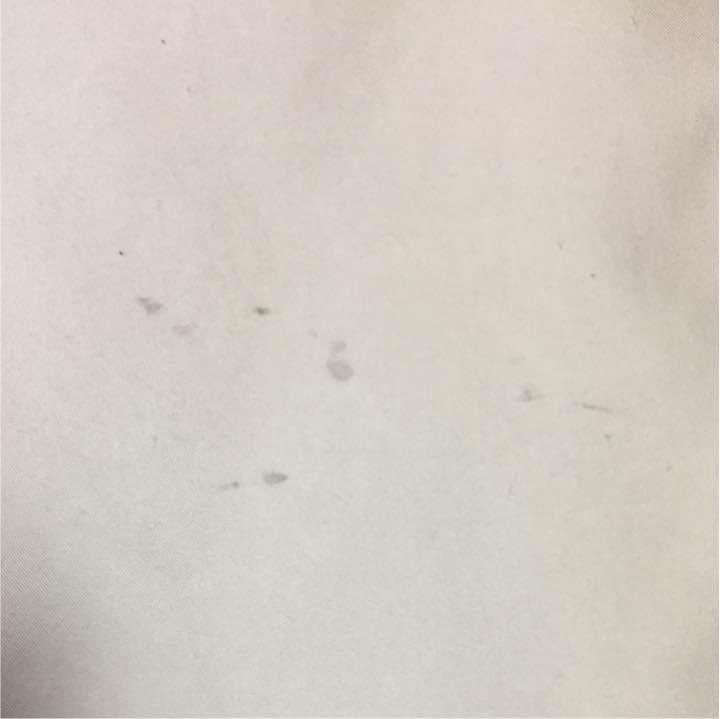 ステンカラーコート Burberry_画像1