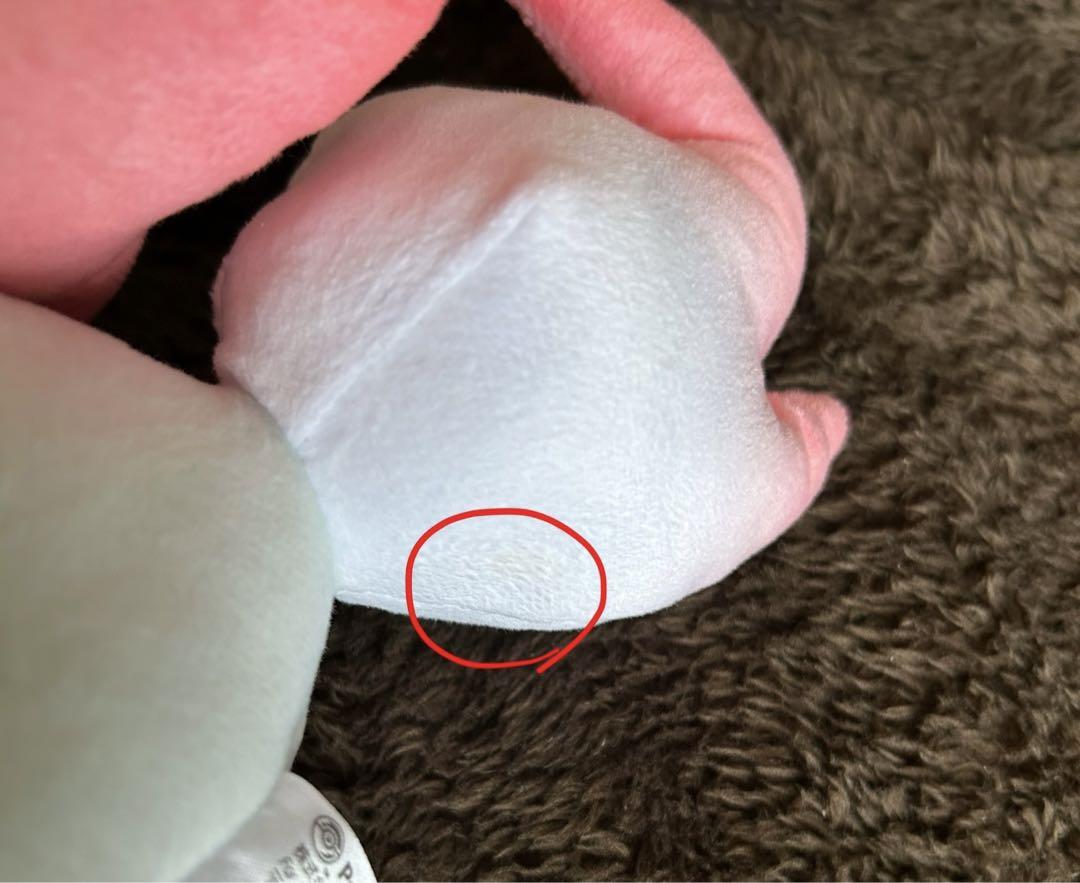 ヒスイゾロア通常色/色違い ぬいぐるみ2体セット