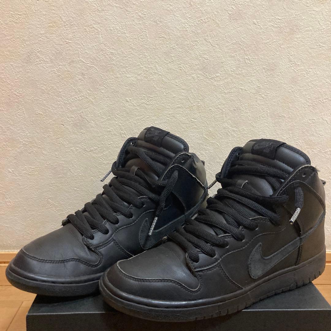 NIKE DUNK HIGH PREMIUM SB GORE-TEX