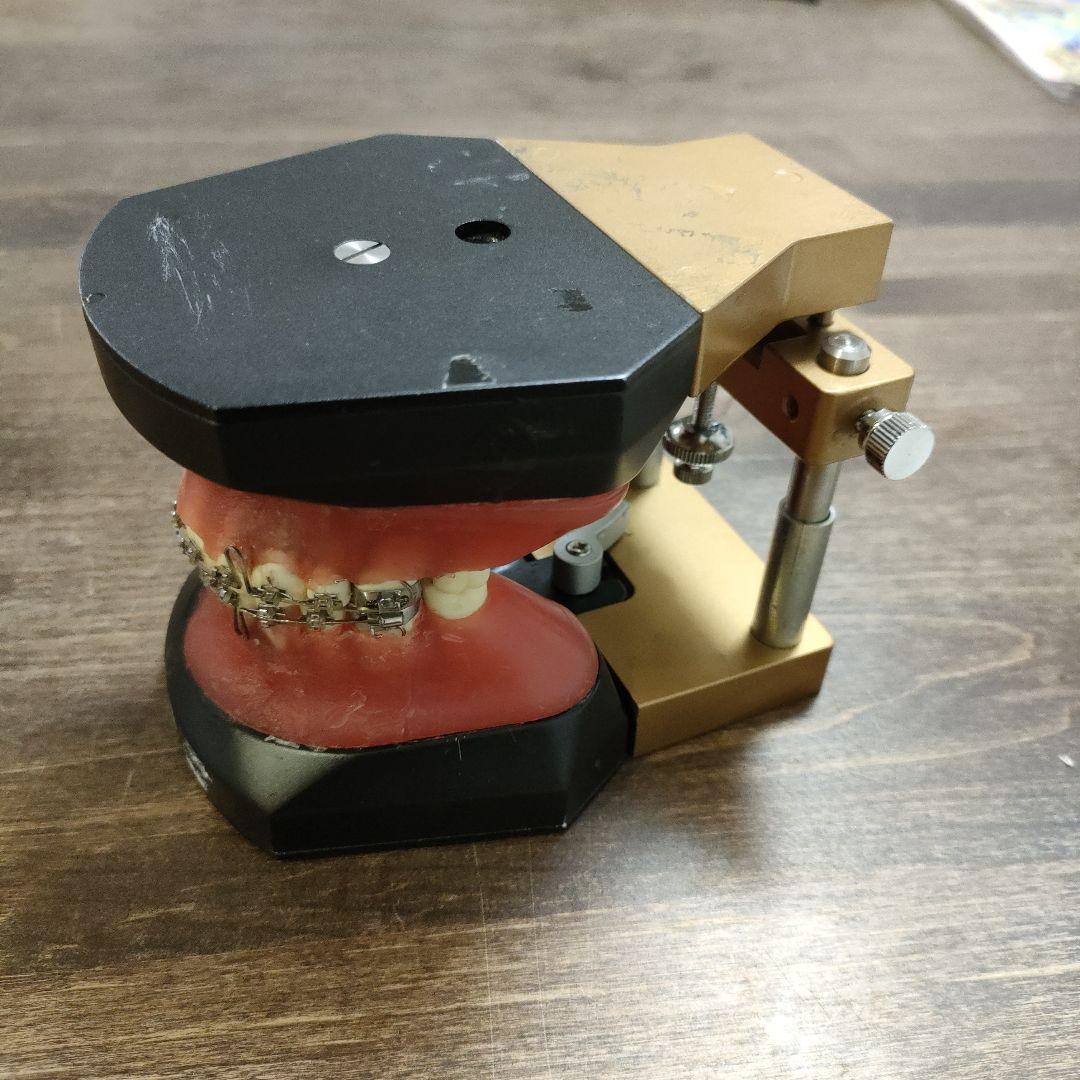 YDM製タイポドント咬合器