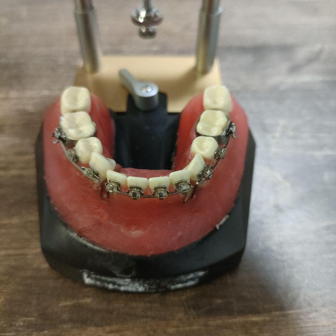 YDM製タイポドント咬合器