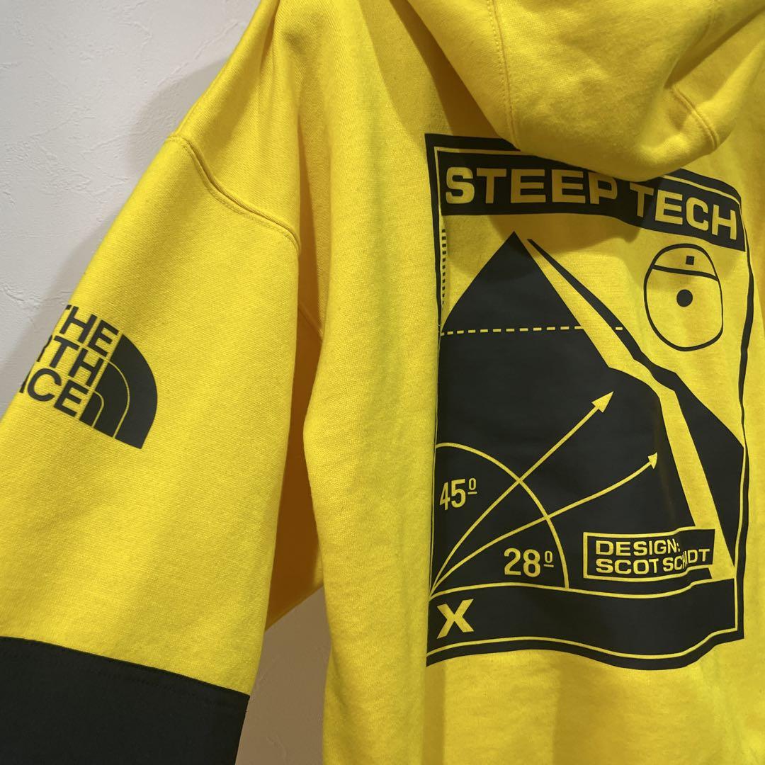 トップス THE NORTH FACE STEEP TECH LOGO HOODIE