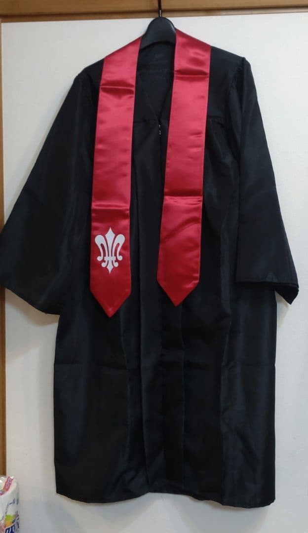 白百合女子大学 卒業式 ガウン 目立った傷や汚れなし