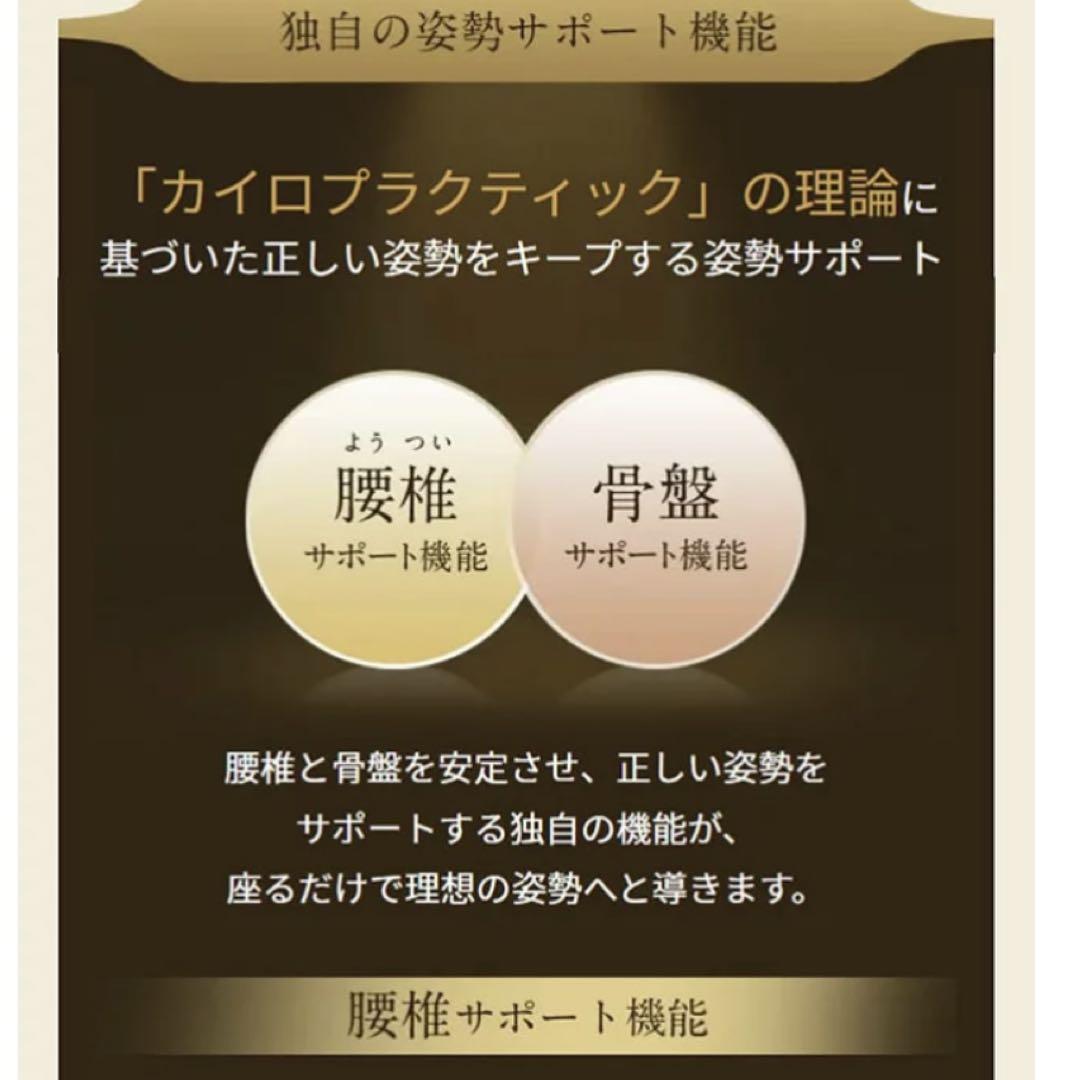【美品 取説付き】MTG スタイル プレミアム 椅子 腰 骨盤 姿勢補正 座椅子
