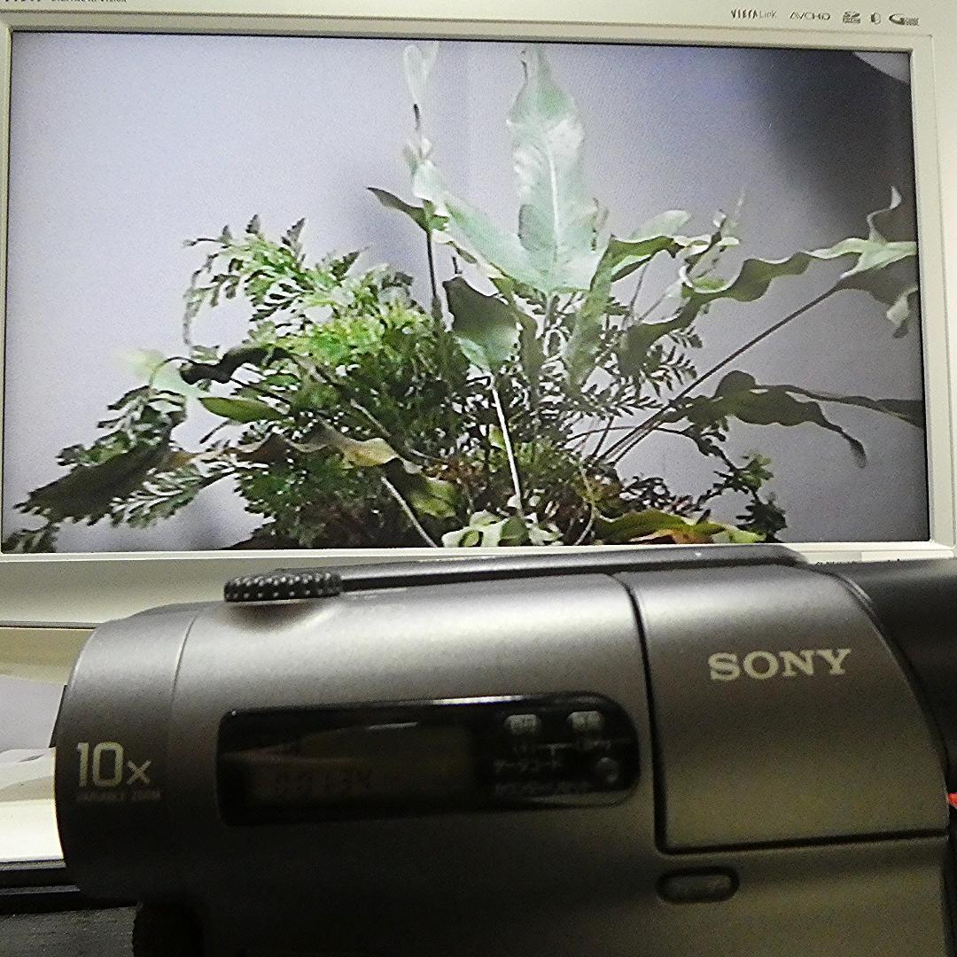 動作良好 Video.Hi8 ソニー CCD-TR3 高画質8ミリビデオカメラ