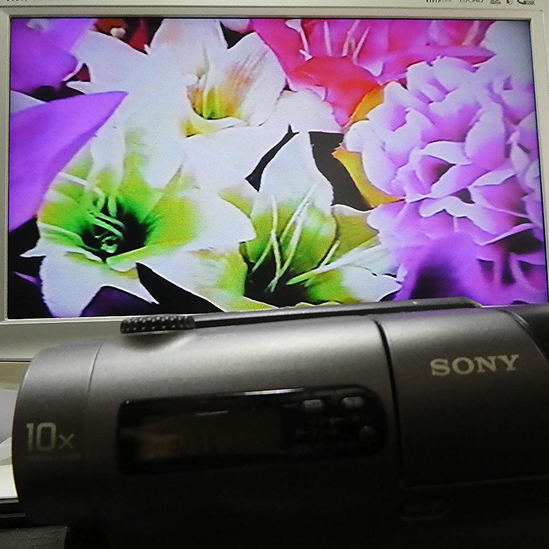 動作良好 Video.Hi8 ソニー CCD-TR3 高画質8ミリビデオカメラ