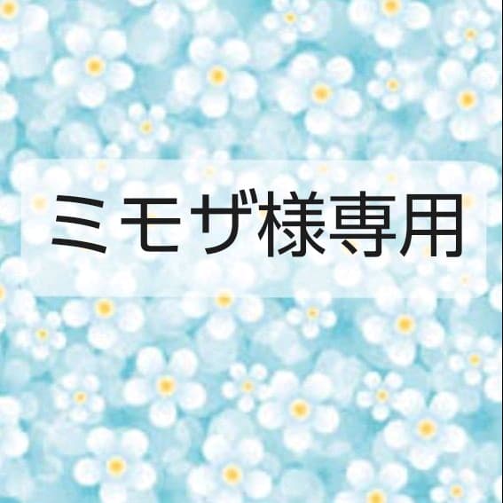 ミモザ様専用 | www.jfostericecream.com