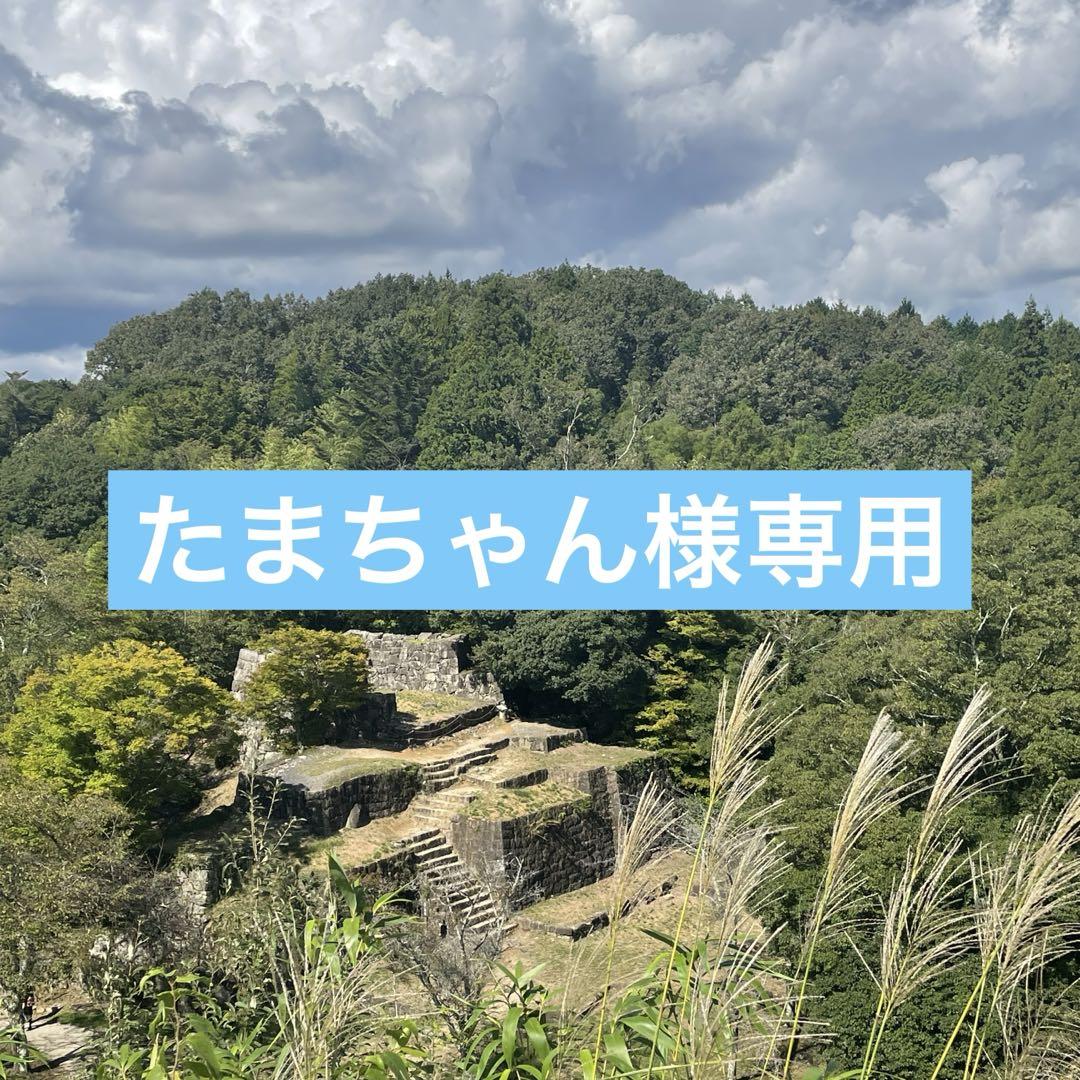 たまちゃん様専用ページ