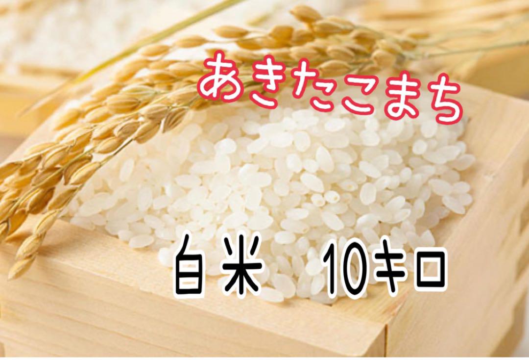 秋田県産 あきたこまち　米　10キロ　農家のお米　白米　4月精米　令和6年度産