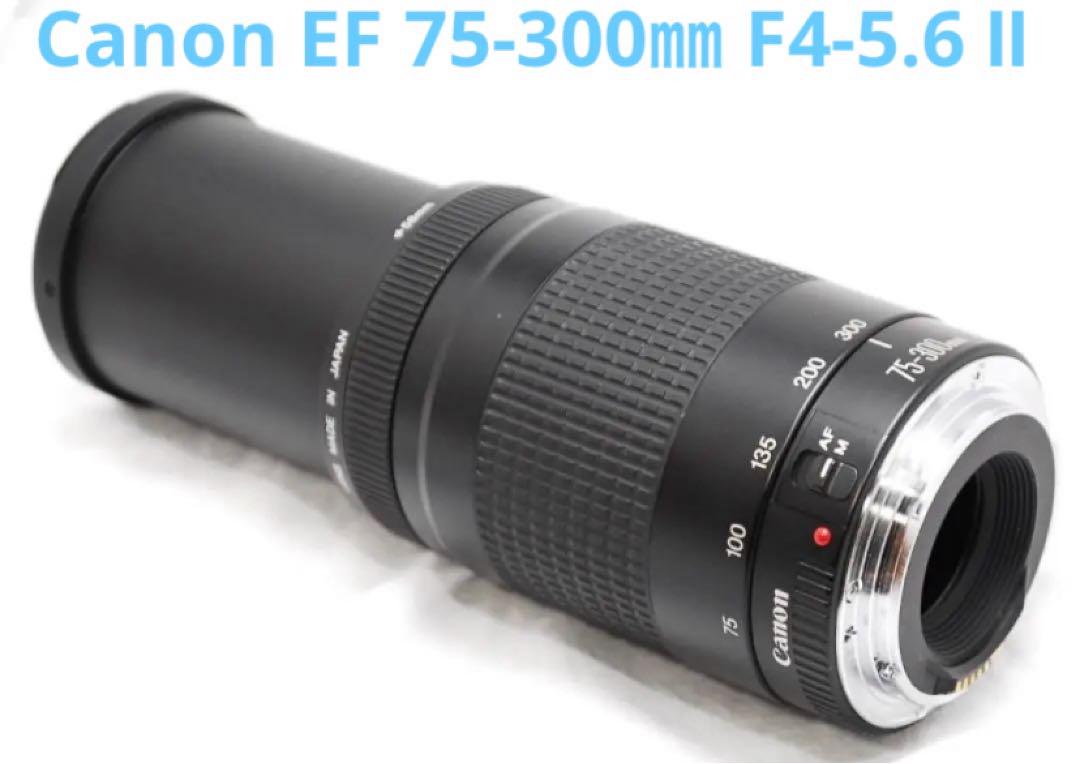 ☆デジタル一眼レフカメラ☆Canon EF75-300㎜　II☆ EF75-300mm F4-5.6 II USM - キヤノンカメラミュージアム