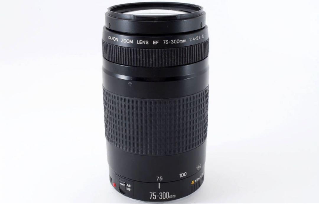 デジタル一眼レフカメラ/Canon EF 75-300㎜ F4-5.6 Ⅱ EF75-300mm F4-5.6 II USM - キヤノンカメラミュージアム