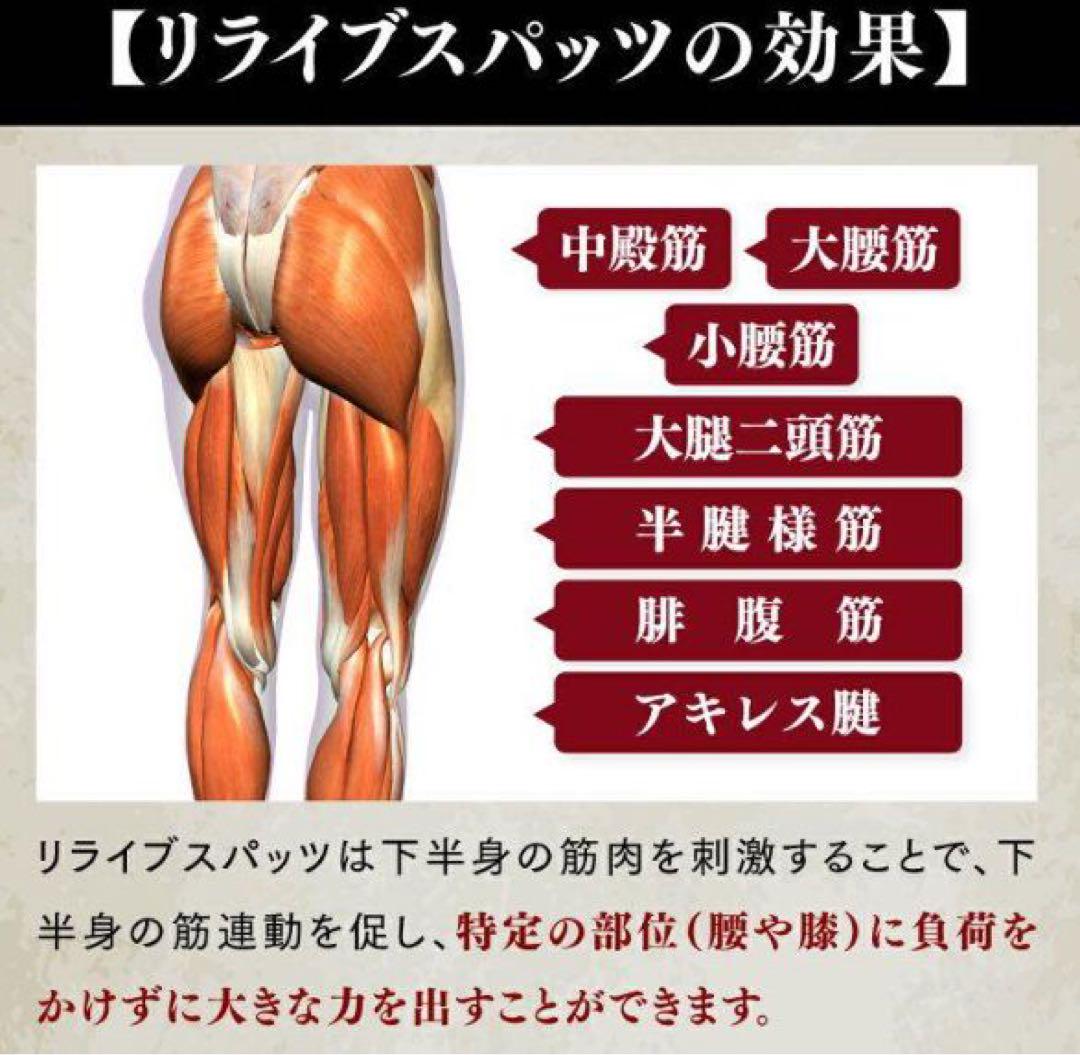 新品 メンズ リライブパンツ Lサイズ リカバリーウェア#76