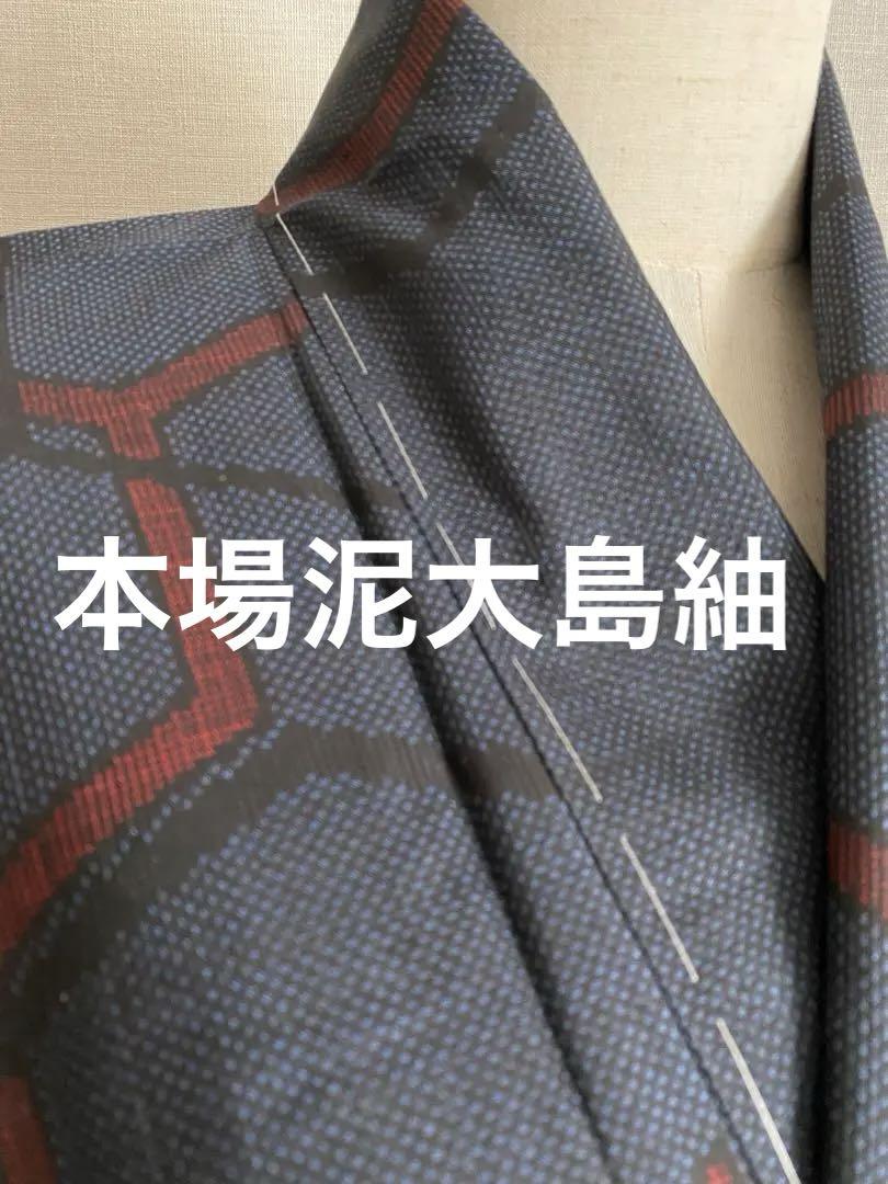 しつけ付き未使用正絹変わり亀甲 本場泥大島紬5マルキ