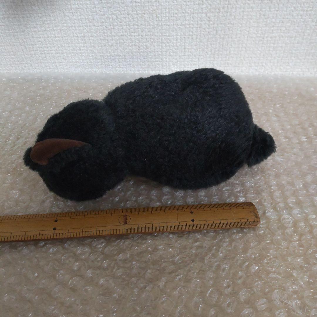黒猫 童心 ぬいぐるみ ねこ ネコ 猫