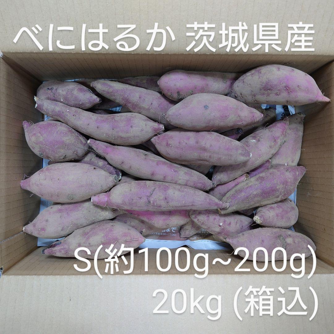 べにはるか 20kg(箱込) S(約100g～200g) 茨城県産
