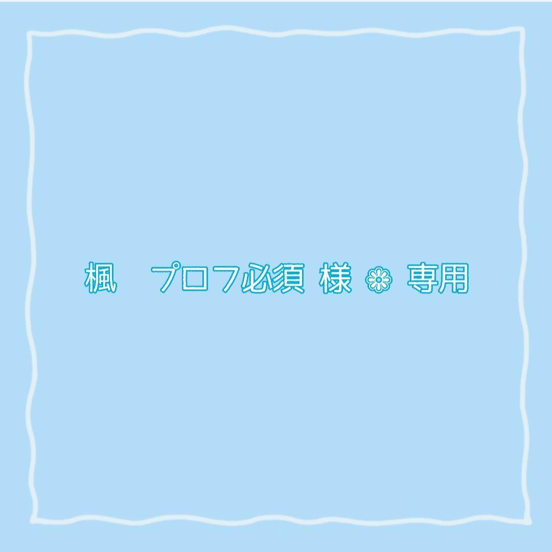 楓*プロフ必読*①　ご購入用 楓 プロフ必読様✽専用 - メルカリ