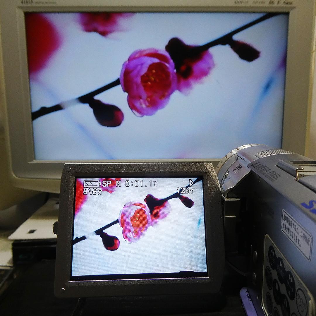 動作良好 パナソニックNV-GS100 MiniDVビデオ DVDダビングに最適