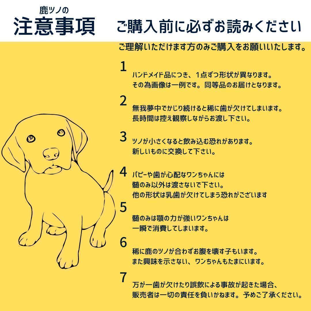 送料無料　超大型犬用お試しセット　四つ割り＆半割り＆一本物根元　犬のおもちゃ　B