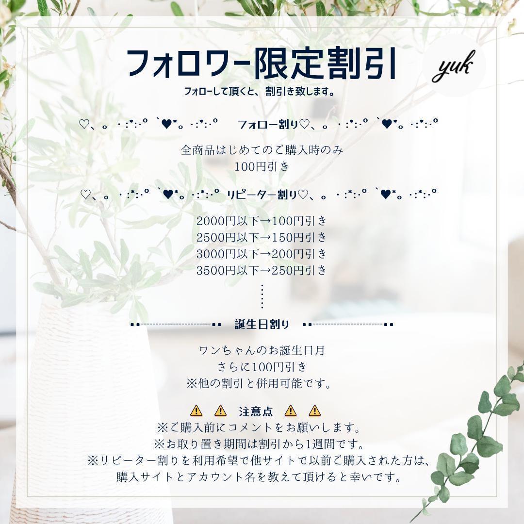 送料無料　超大型犬用お試しセット　四つ割り＆半割り＆一本物根元　犬のおもちゃ　B