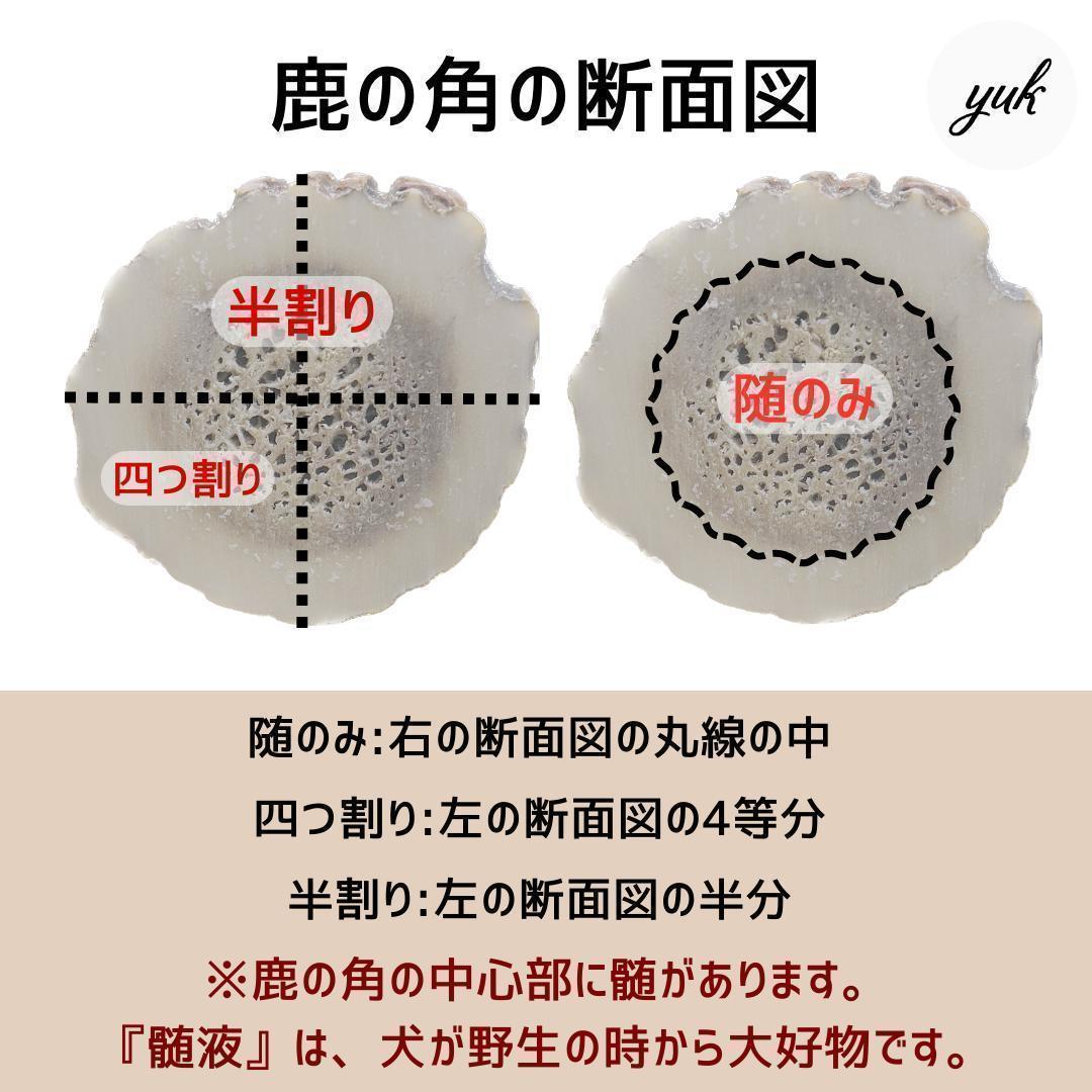 送料無料　超大型犬用お試しセット　四つ割り＆半割り＆一本物根元　犬のおもちゃ　B