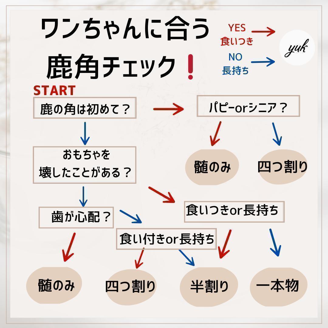 送料無料　超大型犬用お試しセット　四つ割り＆半割り＆一本物根元　犬のおもちゃ　B