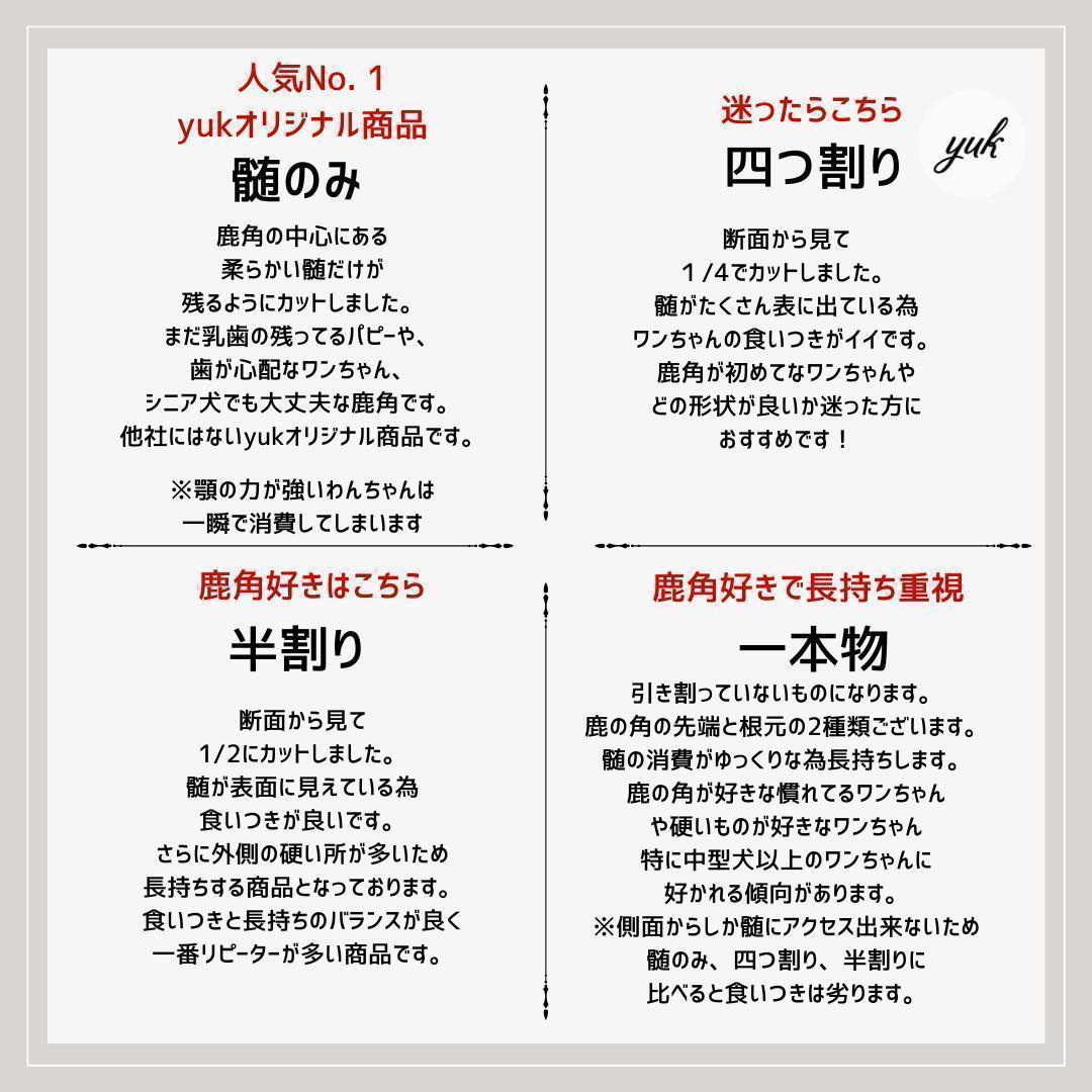 送料無料　超大型犬用お試しセット　四つ割り＆半割り＆一本物根元　犬のおもちゃ　B