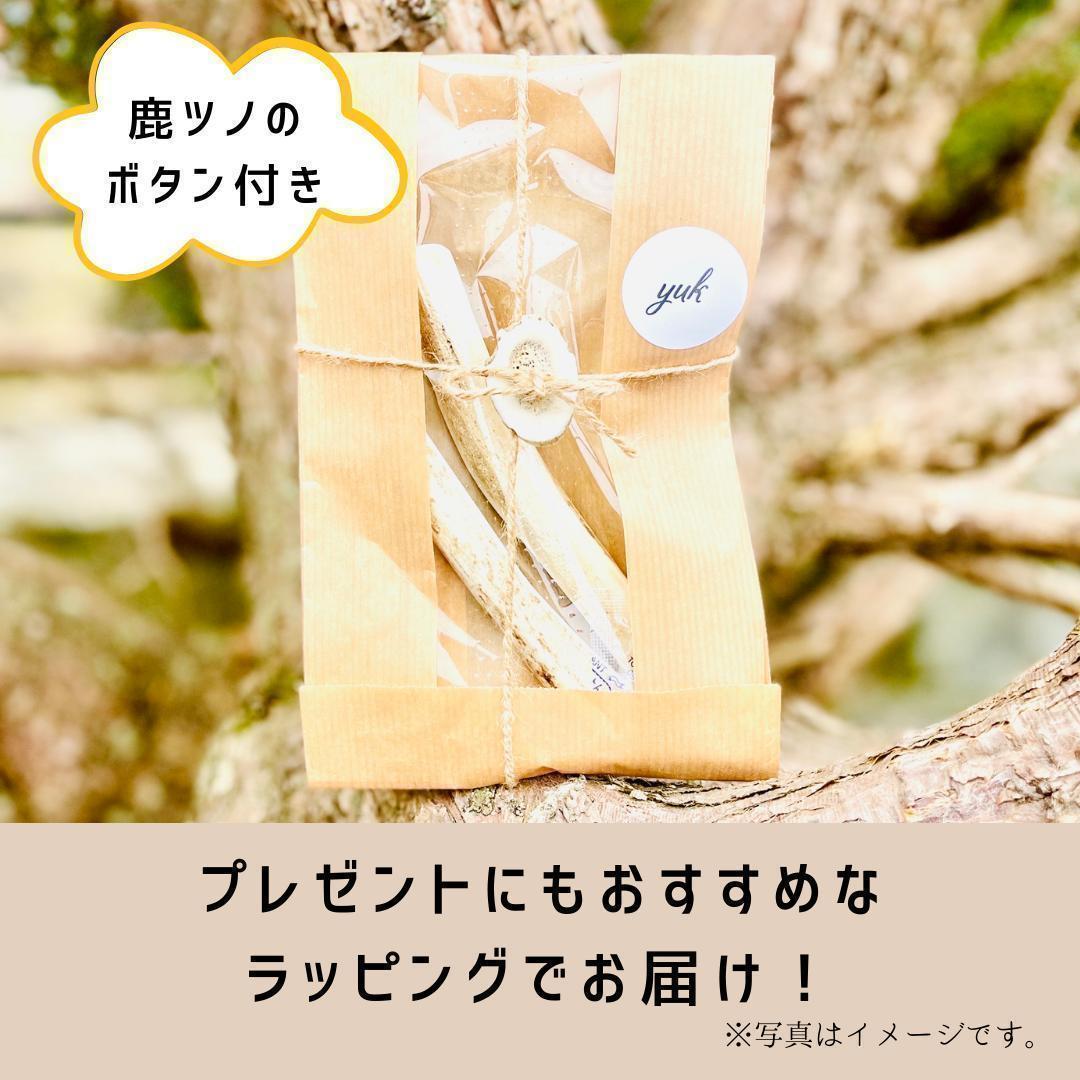 送料無料　超大型犬用お試しセット　四つ割り＆半割り＆一本物根元　犬のおもちゃ　B