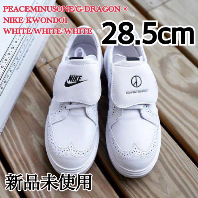 激安通販の 中華のおせち贈り物 NIKE PEACEMINUSONE G-DRAGON クウォンド 28.5cm frogtownpottery.com frogtownpottery.com