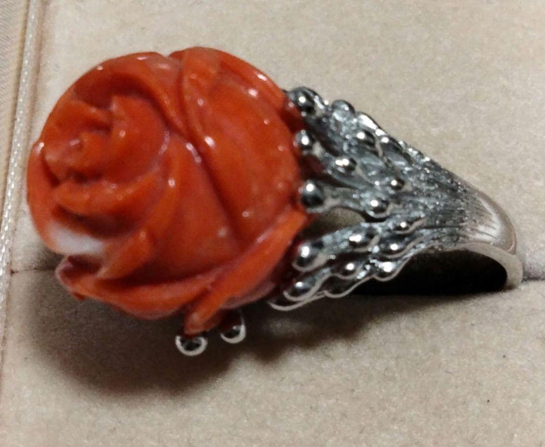 【30％OFF】 S 珊瑚 サイズ14 作家物 リング アクセサリー