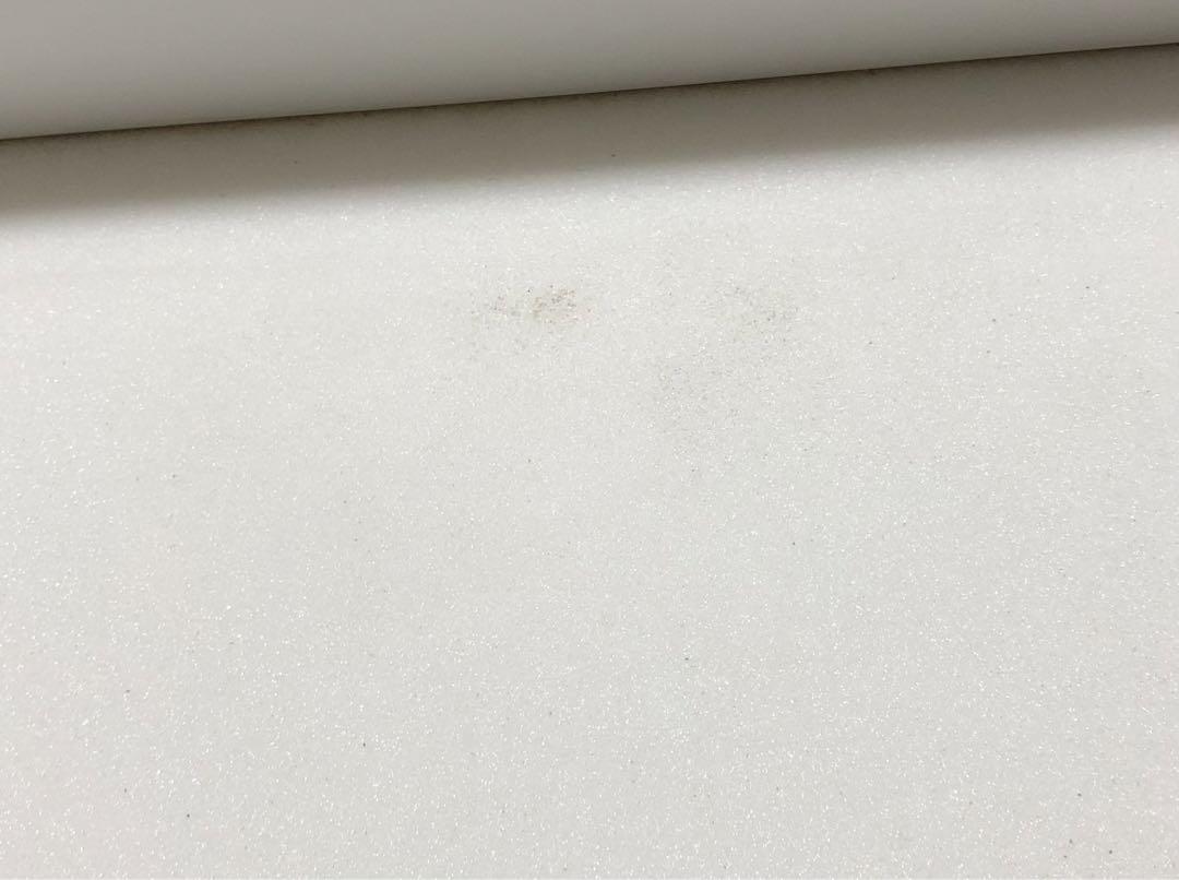 バードウィング　ドイツ箱　大型　茶色