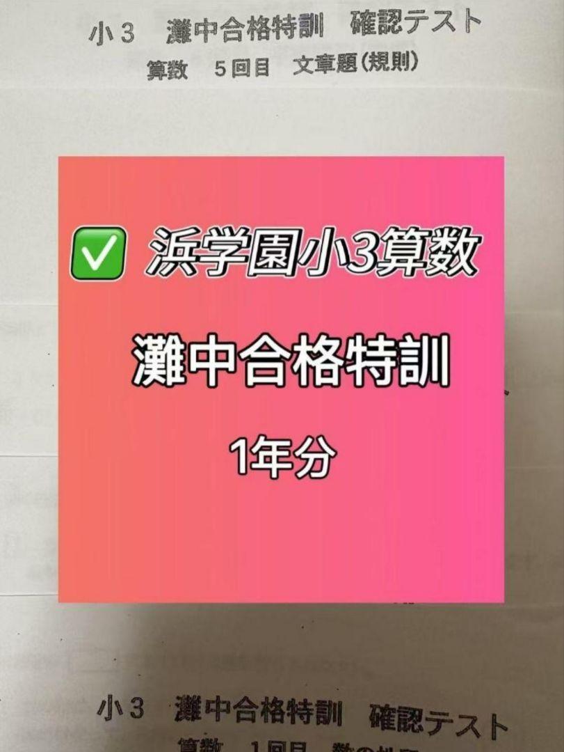 浜学園　小5 灘中合格特訓　算数　12冊　テキスト　灘合　プリント 浜学園 小5 灘中合格特訓 算数 12冊 テキスト 灘合 プリント