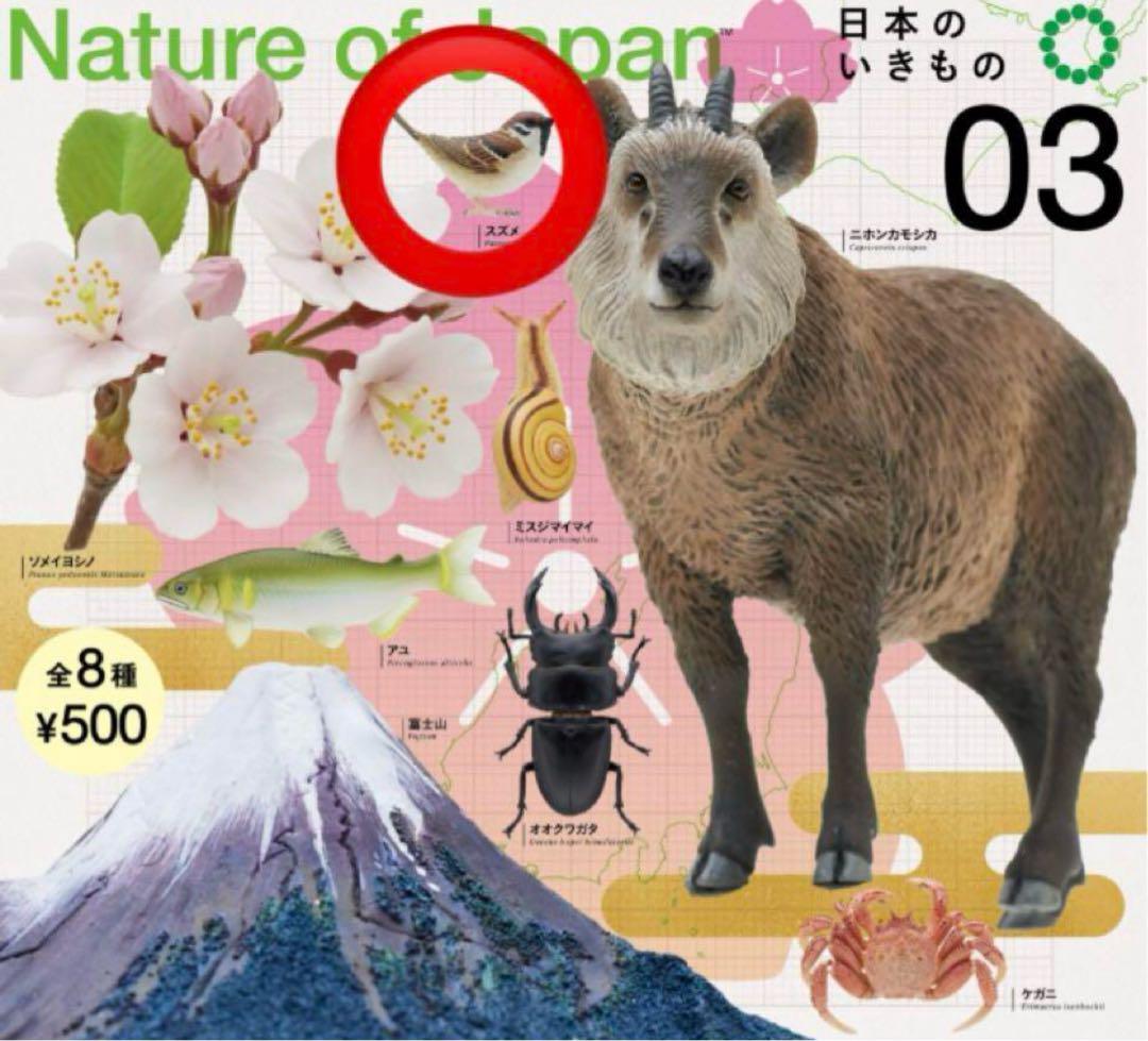 未使用】【匿名配送】スズメ ネイチャーテクニカラー 日本の