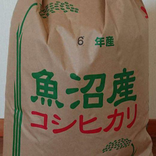 1等米 令和6年産 新潟 魚沼産コシヒカリ 5kg 白米 高品質 米農家米・雑穀・粉類